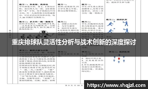 重庆排球队灵活性分析与战术创新的深度探讨